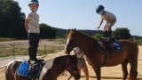 Les stages d'équitation au Domaine de la Maurinière