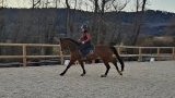Cours d'équitation