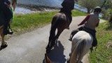 Balades & randonnées à cheval ou poney