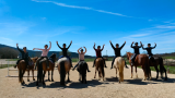Stages d'équitation