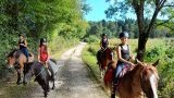 Balades & randonnées à cheval ou poney