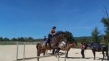 Cours et stages d'équitation sur le Plateau d'Hauteville