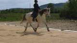 Cours et stages d'équitation sur le Plateau d'Hauteville