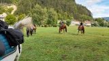 Balades & randonnées à cheval ou poney