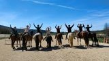 Cours et stages d'équitation sur le Plateau d'Hauteville