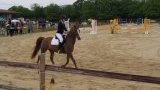 stages d'équitation