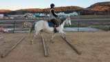 Cours et stages d'équitation sur le Plateau d'Hauteville