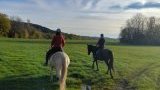 Balades & randonnées à cheval ou poney