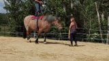 Stage d'équitation