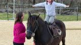 Stage d'équitation