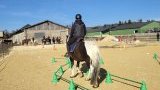 Stage d'équitation