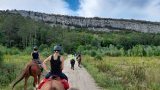Balades & randonnées à cheval ou poney