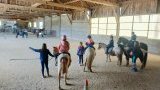 Les stages d'équitation au Domaine de la Maurinière