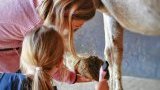 Les stages d'équitation au Domaine de la Maurinière